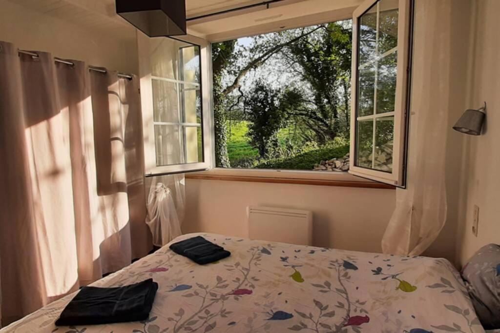 12 Rdc Appartement 2 Chambres Jardin Terrasse Ploneour-Lanvern Ngoại thất bức ảnh