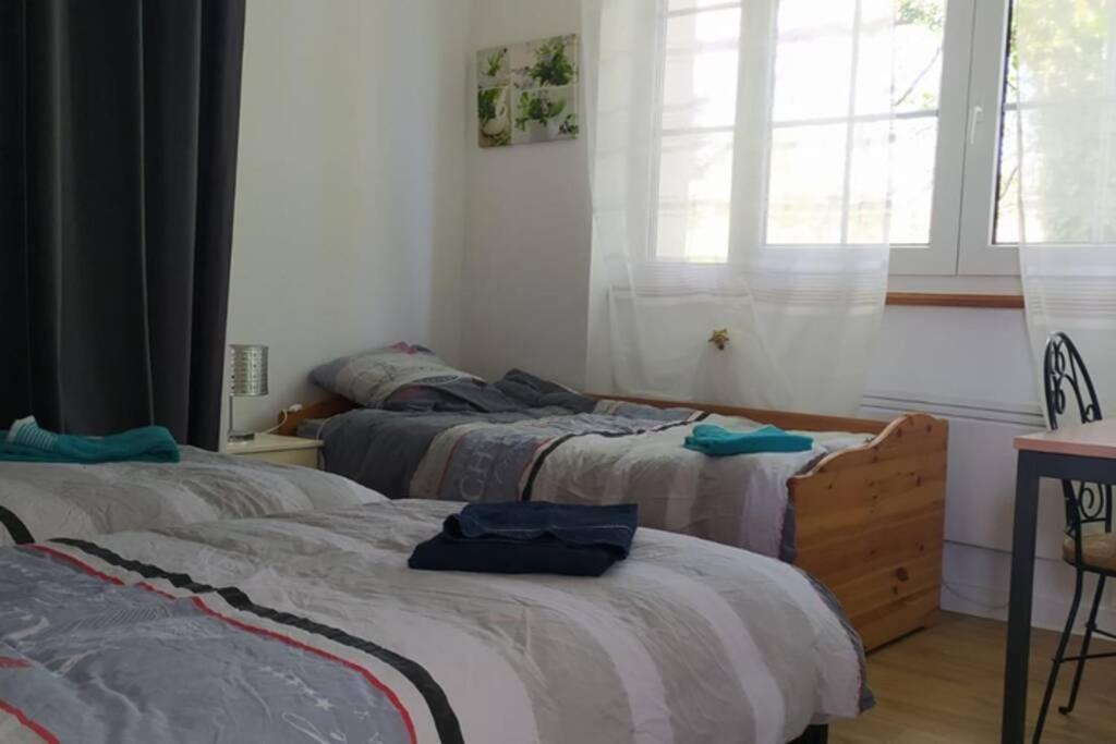 12 Rdc Appartement 2 Chambres Jardin Terrasse Ploneour-Lanvern Ngoại thất bức ảnh